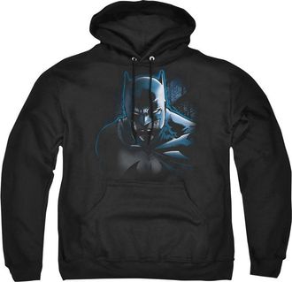 Gildan Batman Dont Mess With The Bat Adult Pull Over Hoodie / Hooded Sweatshirt