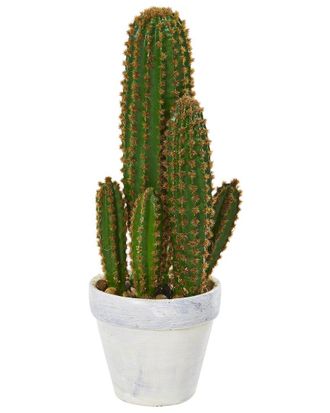 Nearly Natural 1.5ft Cactus Succulent Artificial Plant