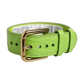 Dolce & Gabbana Cintur&oacute;n de Piel con Estampado de Lagarto - Accessories - Mujer - Verde - ONE SIZE