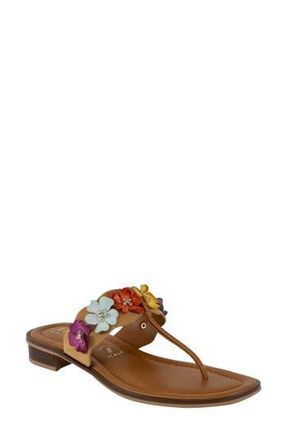 Italian Shoemakers Adara Floral Flip Flop in Bright Brown Multi at Nordstrom Rack, Size 10