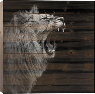 iCanvas Icanvas Lion In Black & White I Wood Print By Lukas Holas Wall Art