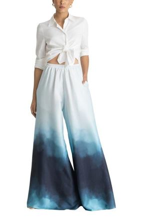 Diarrablu Jant Pants in Skye Blu at Nordstrom, Size Xx-Large