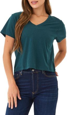 Threads 4 Thought Ada V-Neck T-Shirt in Serrano at Nordstrom, Size Xx-Large Regular
