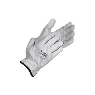 cofan Cofan - Guantes De Piel De Vacuno Calidad Est&aacute;ndar T-7 ( Bl&iacute;ster 12 Pares)