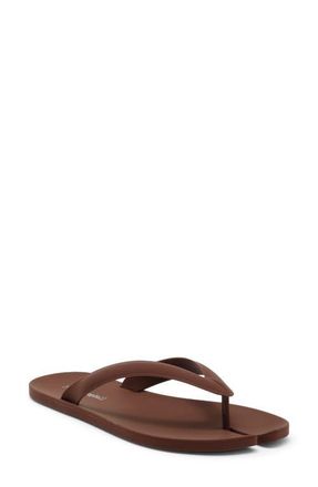 Jeffrey Campbell Zori Flip Flop in Brown Matte at Nordstrom, Size 9