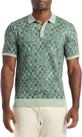 Robert Graham Johnny Collar Cotton Knit Polo in Sage at Nordstrom Rack, Size Xx-Large