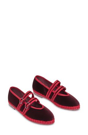 Flabelus Claire Mary Jane Flat in Vino at Nordstrom, Size 12Us