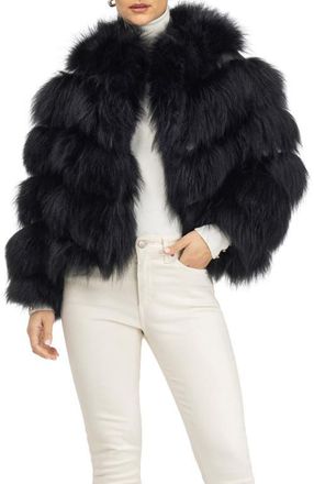 Gorski Genuine Shearling Jacket in Black at Nordstrom, Size X-Large