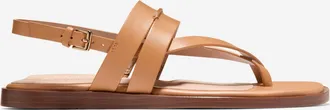 Cole Haan Womens Go-To Estella Flat Thong Sandals - Brown Size 10.5