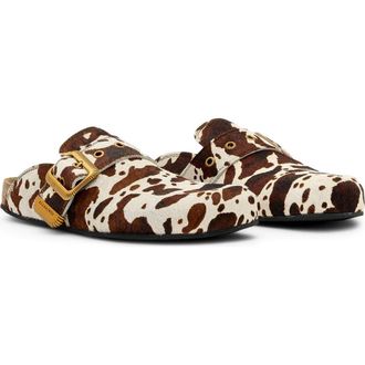 AllSaints Staffa Genuine Calf Hair Mule in Cow Print at Nordstrom, Size 10.5Us