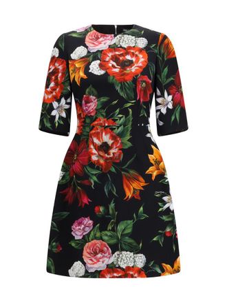 Dolce & Gabbana Dresses