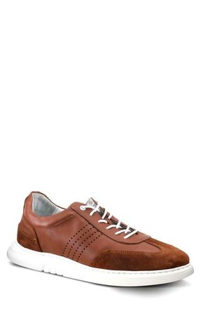 Spring Step Trenton Sneaker in Brown at Nordstrom, Size 10.5-11Us