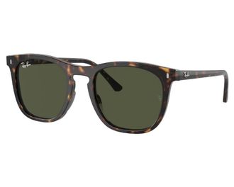 Ray-Ban Green Sport Unisex Sunglasses RB2210F 902/31 53