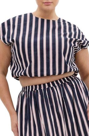 City Chic Sarina Cotton Crop Bubble Top in Navy Sienna Stripe at Nordstrom, Size 26W