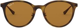 Ray-Ban 55mm Polarized Square Sunglasses in Light Havana/brown at Nordstrom