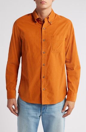 Schott NYC Pinwale Corduroy Button Down Shirt in Rust at Nordstrom, Size Xx-Large