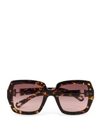 Chloé Acetate Sunglasses-Donna