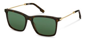 Rodenstock R3346 B Mens Sunglasses Tortoiseshell Size 57