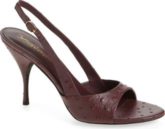 Jeffrey Campbell Triomphe Slingback Sandal in Wine Ostrich at Nordstrom, Size 9.5
