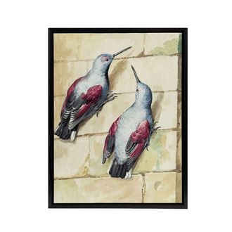 Artery8 Two Wallcreepers Watercolour Painting Schouman Framed Canvas Wall Art in Beige | Size: W24 x H32