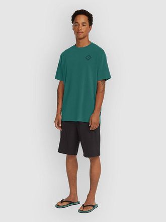 O'Neill ONeill Hybrid 19 Pantalones Cortos negro