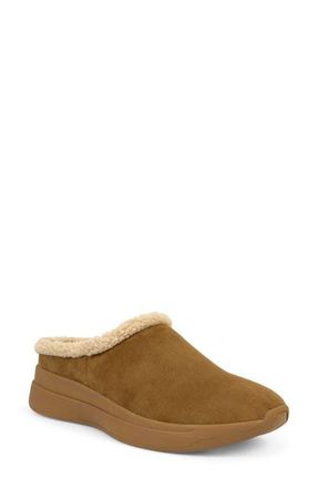 Aerosoles Flory Faux Shearling Slipper in Tobacco Suede Shearling at Nordstrom, Size 6.5