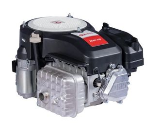 Zanetti Motor Gasolina Completo Zanetti Zbmv550l8 Eje Vertical 25x80 Tractor