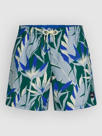 O'Neill Print 16 Boardshorts blauw
