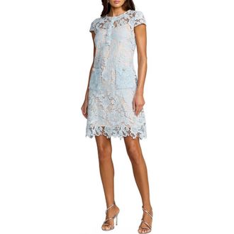Mac Duggal Lace Cap Sleeve Floral Applique Mini Dress in Powder Blue at Nordstrom, Size X-Small