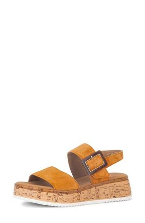 Gabor Slingback Wedge Sandal in Valley at Nordstrom, Size 6.5Us