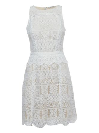AllSaints lace flared mini dress - White