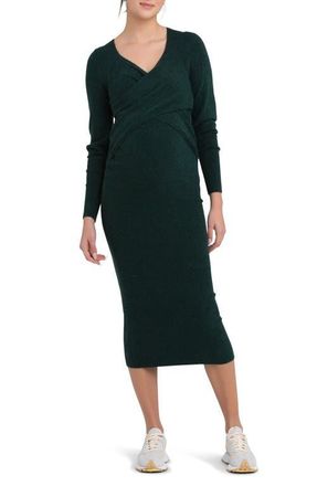 Ripe Heidi Long Sleeve Maternity/Nursing Dress in Forest at Nordstrom, Size X-Large