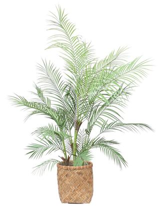 Creative Displays Inc. 5Ft Outdoor Uv-Rated Kentia Palm Drop-In Tree With Bamboo-Wrapped Cement Pot