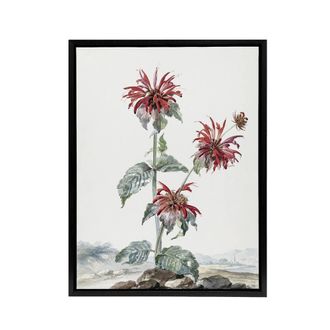 Artery8 Red Bergamot Flowers in a Landscape Schouman Framed Canvas Wall Art in White | Size: W24 x H32