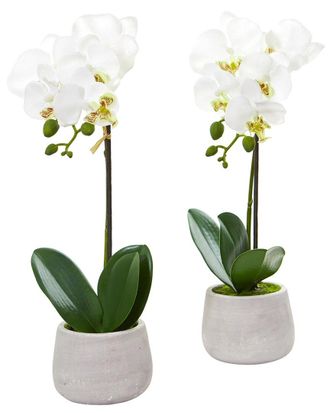 Nearly Natural Set Of 2 Phalaenopsis Orchid Artificial Arrangements