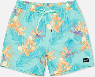 Hurley Cannonball Volley 17 Swimwear Shorts Mens Tropical Mist BUU958