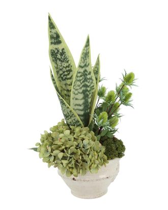 Creative Displays Inc. Snake Plant In Ceramic Pot With Hydrangea & Thistle