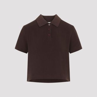 Saint Laurent Petit Cassandre-polo