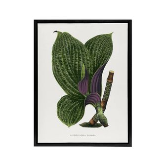 Artery8 Lydon & Fawcett Green Dichorisandra Mosaica Leaves Framed Canvas Art in White | Size: W24 x H32