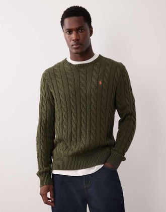 Polo Ralph Lauren Icon - Maglione lavorato a trecce verde con logo