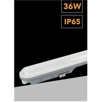 Trade Shop Trade Shop Traesio - Trade Shop - Plafoniera Led Per Esterno Neon Tubo 36w 120cm Impermeabile Ip65 Luce 6500k Lg-12