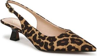 Franco Sarto Jaden Pointed Toe Slingback Pump in Brown at Nordstrom, Size 5.5