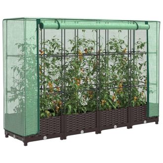 Berkfield Home Raised Bed with Greenhouse Cover Rattan Look 160x40x123 cm in Brown | Size: 160 x 40 x 123 cm