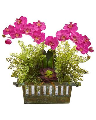 Nearly Natural Orchid, Succulent & Maiden Hair Artificial Arrangement