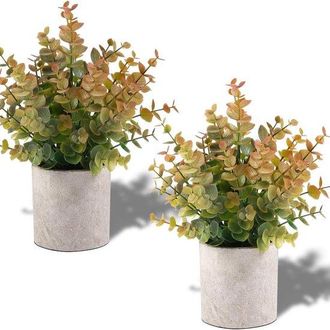 OEM Dos Peque&ntilde;os &Aacute;rboles Artificiales De Eucalipto, Adecuados Como Decoraci&oacute;n Para Estantes Interiores, Estilo 3