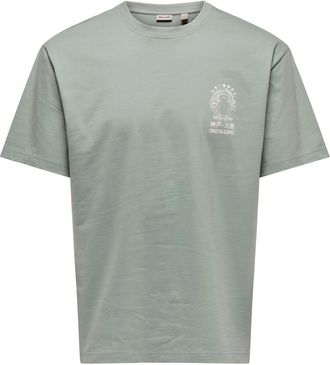 Only & Sons T-Shirt ONLY & SONS ONSFRED LIFE RLX SS PRINT TEE NOOS, Herren, Gr. XXL, iceberg gr&uuml;n print:conichiwa toad, Jersey, Obermaterial: 100% Baumwolle, bedr