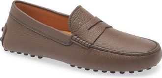Tod's Gommino Penny Loafer in Tabacco Scuro at Nordstrom, Size 11.5Us