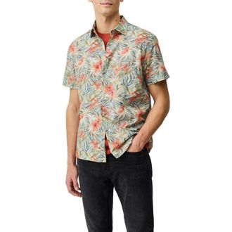 Rodd & Gunn Riverina Floral Short Sleeve Button-Up Shirt in Botanical at Nordstrom, Size Xxx-Large