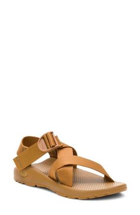 Chaco Mega Z Classic Sandal in Cabin at Nordstrom, Size 12