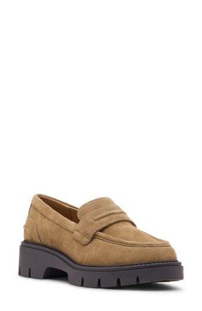 Blondo Kaider Waterproof Lug Loafer in Taupe Suede at Nordstrom Rack, Size 7
